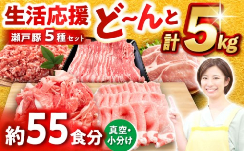 【10月発送】  瀬戸豚 豚肉 生活応援 セット 計5kg / 豚肉 小分け ミンチ 切り落とし バラ肉 豚ロース しゃぶしゃぶ用 バラスライス とんかつ 豚ミンチ 豚肉セット 小分け 豚 バラエティセット   / 瀬戸市 / 関屋精肉店 [BBBQ160-10]