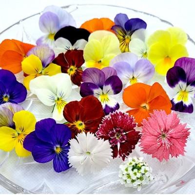 ふるさと納税 播磨町 食用のエディブルフラワー(生花×3パック・ドライ×1袋)・サラダクレソン×1袋【Cセット】 |  | 01