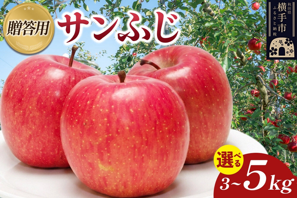 
                  【先行受付】12月上旬より発送 樹上完熟りんご（サンふじ）贈答用【選べる容量 約3kg／約5kg】 喜三郎農園 [先行予約 秋田県 横手市 林檎 リンゴ りんご 果物 フルーツ 贈答用]
                
