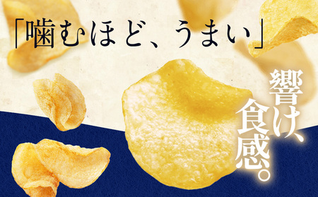 【定期便4カ月】堅あげポテト 2種セットC ＜焼きのり・バターしょうゆ＞ 各6袋  カルビー ポテトチップス 《千歳工場製造》