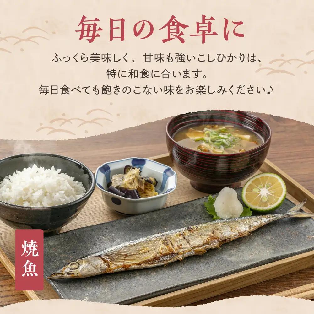 【2026年10月中旬発送】令和8年産 新潟県妙高産 こしひかり 2kg