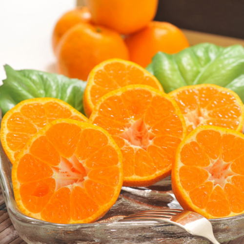 【ふるさと納税】 【先行予約】【極甘柑橘】有田育ちの 濃厚 ポンカン（訳あり 家庭用）約1kg 約3kg 約4kg 約5kg 約8kg 約10kg ※2026年1月中旬〜2月下旬頃に順次発送予定 ※着日指定不可