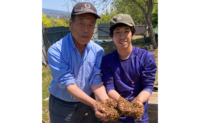 国産生はちみつ　アカシア・リンゴ・百花600g 3本セット