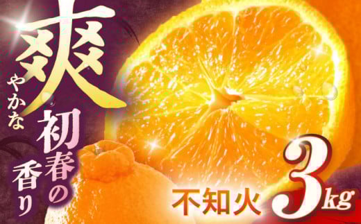 【数量限定】不知火 袋掛け 約3kg【おだ農園】[OAG004] / 柑橘 ミカン 柑橘 果物  フルーツ みかん 柑橘 みかん しらぬい 不知火みかん シラヌイ 柑橘 蜜柑 柑橘類 