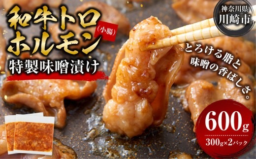 トロホルモン 味噌漬け 600g ( 300g × 2 ) プリプリ 小分け 使いやすい 味付き 調理便利 野菜炒め ホルモン炒め 訳あり 不揃い 和牛 小腸 冷凍 配送時期が選べる 個包装 冷凍保存 アウトドア キャンプ おすすめ 人気