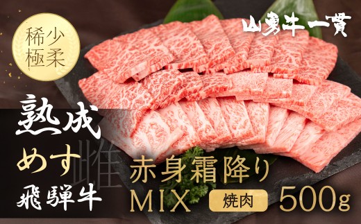 「山勇牛」焼肉用 霜降りMIX 500g 牛肉 和牛 飛騨牛 肉 稀少部位 焼き肉 冷凍 飛騨市 高評価 赤身牛肉 赤身 熟成