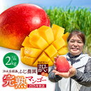 【ふるさと納税】【2025年先行予約】 訳あり 完熟マンゴー2kg おいしさそのまま！ ふじ農園 わけあり 規格外 マンゴー 果物 フルーツ 果実 先行予約 数量 期間 限定 家庭用 無加温栽培 贅沢 ご褒美 果汁 冷蔵 鹿児島 知名町 沖永良部 おすすめ ランキング プレゼント ギフト