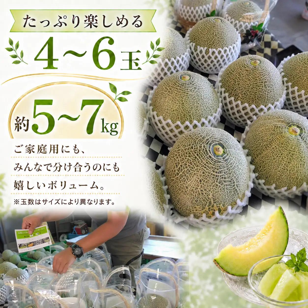 タカミメロン4～6玉（5～7kg）【6月中旬～7月末頃に発送】　白石農園