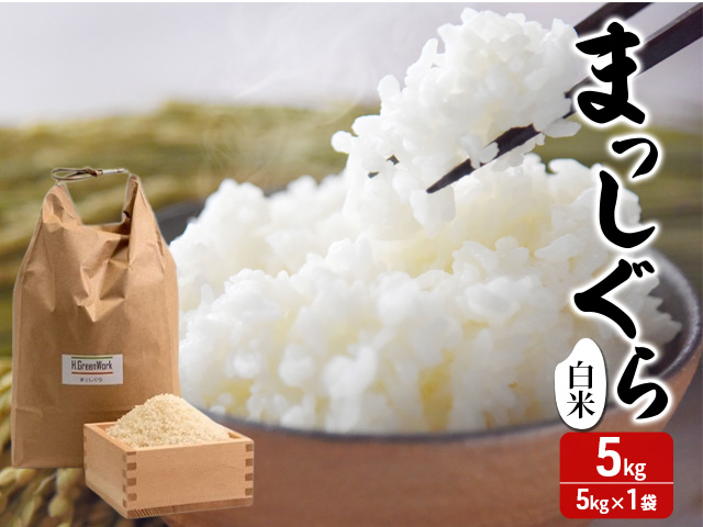 令和7年産 まっしぐら 白米 5kg [H.GREENWORK] 青森県 鯵ヶ沢産 / お米 精米 こめ おこめ ごはん 津軽