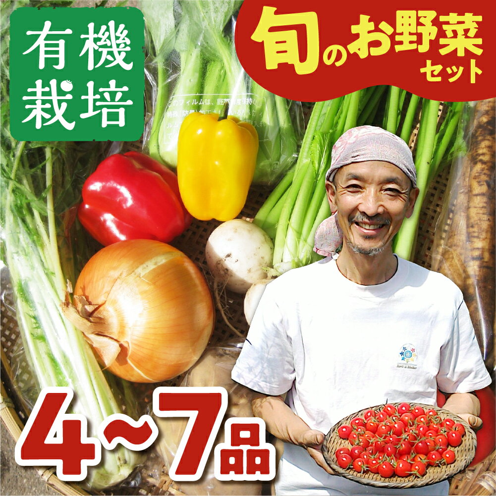 【ふるさと納税】【令和8年産先行予約受付中】野菜の栄養価コンテストグランプリ農家が贈る 無農薬栽培野菜セット 4-7品 ありがとうファーム お野菜のレシピ付き 選べるお届け時期 無農薬 野菜 セット 味噌 糀 おまかせ お楽しみ 10000円