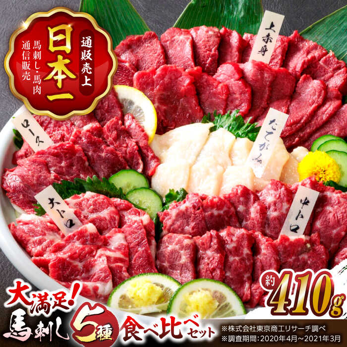 【ふるさと納税】＼レビューキャンペーン／大満足のボリューム「大満足セット 」 上赤身 約50g×3 大トロ 約50g×1 中トロ 約50g×2 たてがみ 約30g×2 ロース 約50g×1 計410g 国産 馬刺し 熊本 山鹿市 霜降り 馬刺 ばさし おつまみ 小分け【株式会社 利他フーズ】[ZBK006]