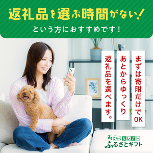 あとからセレクト【ふるさとギフト】寄附20,000円相当  YAS007