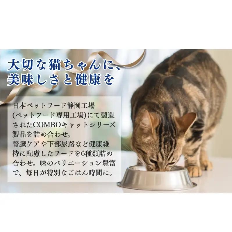 キャットフード コンボ 6種類 アソート 厳選素材 キャットフード