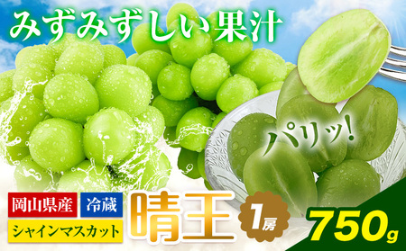 シャインマスカット マスカット 晴王 岡山県産 ぶどう【2026年先行予約】シャインマスカット 晴王 1房 750g 岡山県産《2026年9月上旬-10月末頃出荷(土日祝除く)》 ハレノフルーツ マスカット 送料無料 岡山県 浅口市 フルーツ 果物 贈り物 ギフト 国産 岡山県産 くだもの 青果物 【配送不可地域あり】（北海道・沖縄・離島）