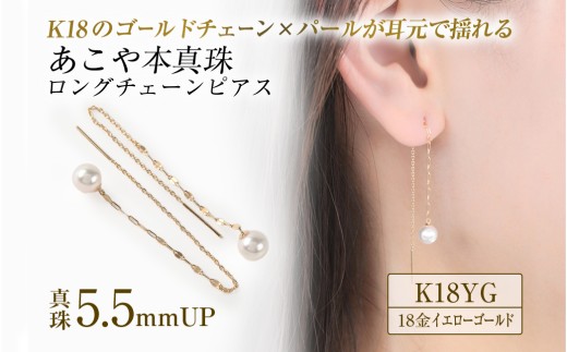 あこや本真珠 5.5ミリ イエローゴールド 18金  ロングチェーンピアス あこや 真珠 あこや本珠 akoya パール ファッション ジュエリー アクセサリー カジュアル 普段づかい プレゼント ギフト 伊勢志摩 OKKO真珠 三重 伊勢（701）