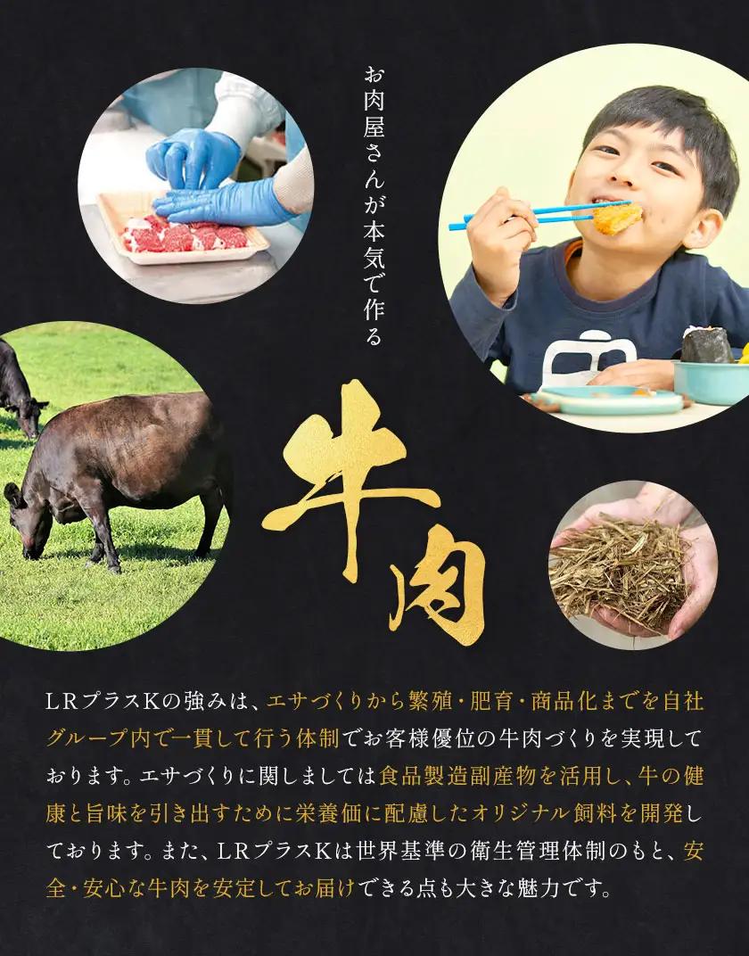 黒毛和牛メンチカツ 35個 5個×7パック LRプラスK《90日以内に出荷予定(土日祝除く)》鹿児島県 さつま町 鹿児島県産 黒毛和牛 惣菜 おかず 小分け 解凍不要 メンチカツ
