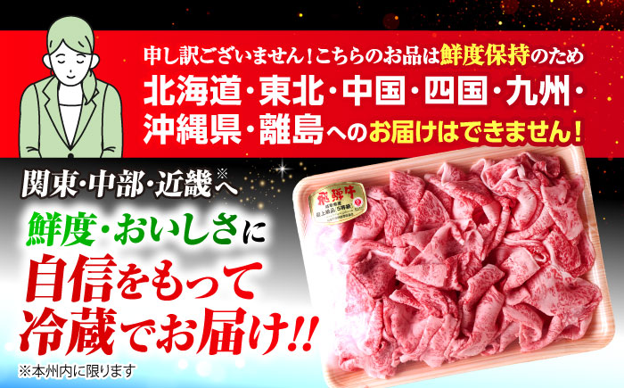 【3回定期便】 ※冷蔵配送/地域限定※ 飛騨牛 切落し (ロースまたは肩ロース) 600g 瑞浪市 / きなぁた瑞浪 和牛 国産 岐阜県産 [AZCI077]