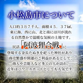 徳島県小松島市 【 返礼品なしの寄附】1000円 ～ 3,000,000円 応援寄附金 応援 支援 災害 子育て 1口 1000円から ふるさと納税 観光徳島 小松島 寄付 南海トラフ 巨大 地震 津