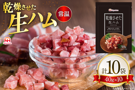 乾燥させた 生ハム 40g 10袋 [日本ハムマーケティング 青森県 おいらせ町 oi02ayo820023]