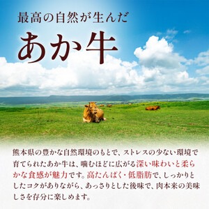 熊本県産 GI認証取得 くまもとあか牛 切り落とし 合計800g(益城町)【配送不可地域：離島】【1638043】