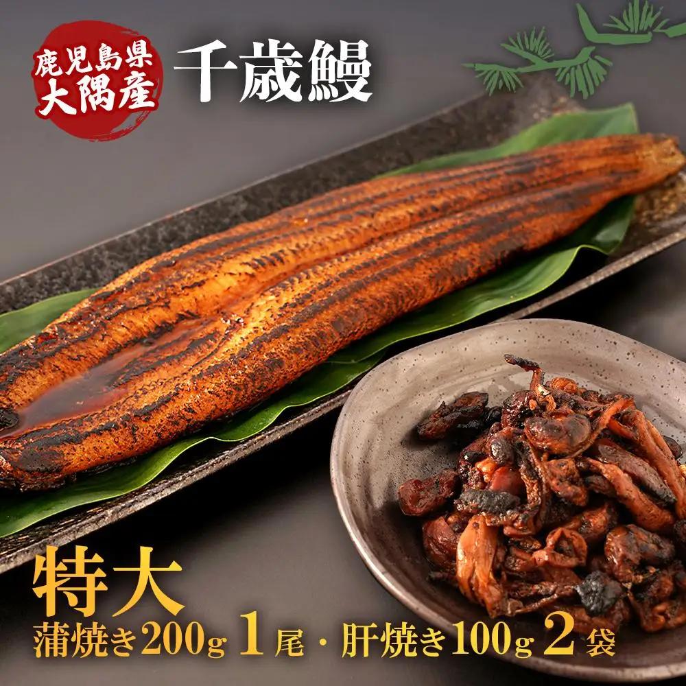 鹿児島県大隅産　特大うなぎ蒲焼200g 1尾・鰻の肝焼き100g×2袋セット