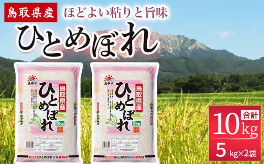 【2月発送】鳥取県産 ひとめぼれ （5kg×2袋） パールライス お米 米 こめ コメ 白米 ブランド おいしい 健康 産地直送 米10キロ ひとめぼれ 10kg 倉吉 倉吉市