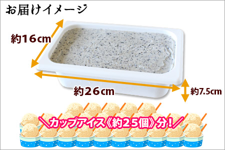 603.アイスクリーム ごま ジェラート ゴマ 胡麻 業務用 2リットル 2L 黒ゴマ 黒ごま アイス 大容量  手作り 北海道 弟子屈町