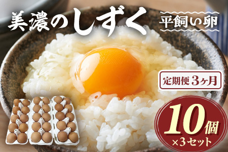 ふるなび限定【定期便3回】新鮮たまご 郡上八幡コケコッコ村の地養卵『美濃のしずく』30個入×3ヶ月 FN-Limited　