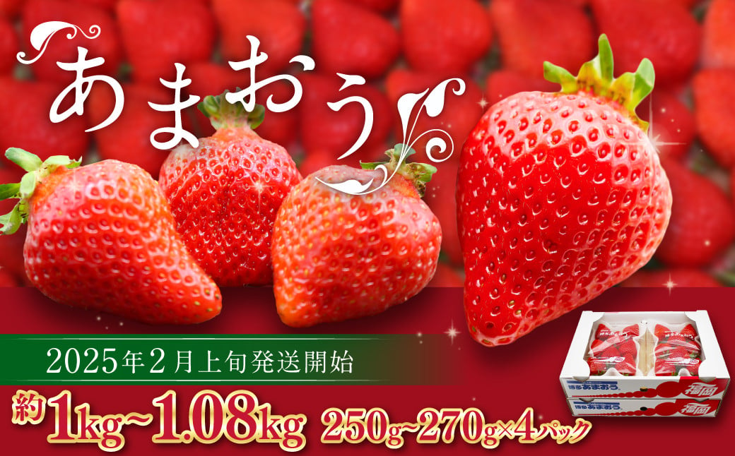 
博多あまおう（春） 約250g～270g×4パック 計約1kg～1.08kg【2025年2月上旬～4月下旬発送予定】いちご 苺 イチゴ 果物 フルーツ
