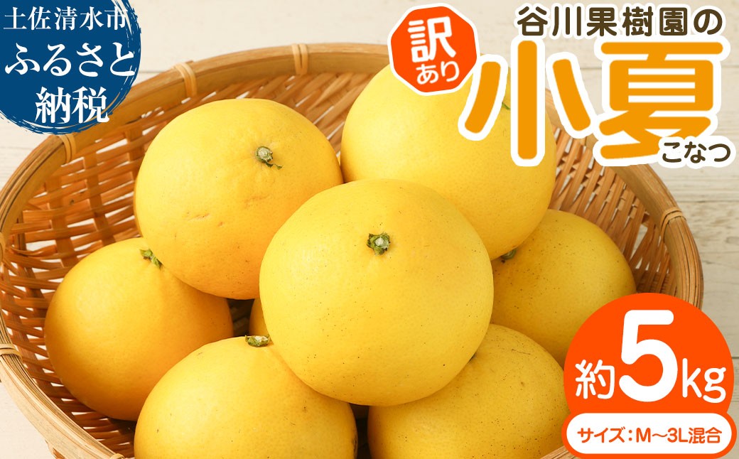 
                  令和9年4月中旬以降発送 <訳あり> 谷川果樹園の小夏５kg 日向夏 みかん 柑橘 フルーツ こなつ ニューサマーオレンジ  果物 美味しい ワケあり 訳 自宅用 おやつ  高知 【R00238】
                