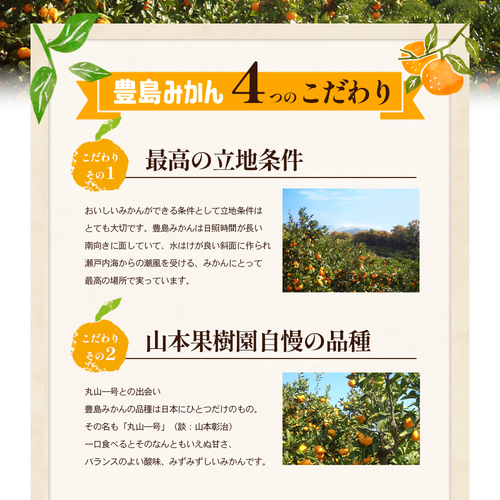 【 小豆島 】瀬戸内海に浮かぶ島・豊島の段々畠で育てられた甘～いみかん（Mサイズ5kg）1箱 豊島 みかん 蜜柑 ミカン 甘い 瀬戸内海 てしま 柑橘 フルーツ 果物 くだもの 香川 香川県 土庄 土