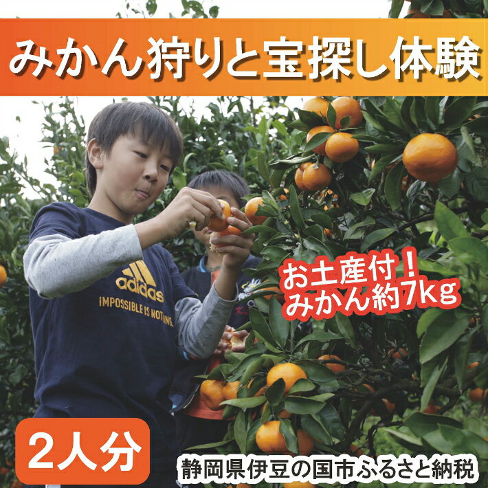 【ふるさと納税】みかん狩りと宝探し体験券（2名様用）・みかんのお土産（約7kg）付き ／ もぎ取り 食べ放題 ミカン 蜜柑 極早生 早生 温州 果物 宝探し お土産付 体験 伊豆の国 静岡 静岡県
