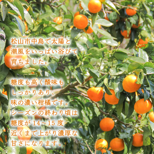 【4月中旬より発送】カラマンダリン 2kg | 数量選択可 みかん ミカン 蜜柑 柑橘 数量限定 愛媛県産 松山市 中島 低農薬 愛媛 ふるさと納税【NO036】