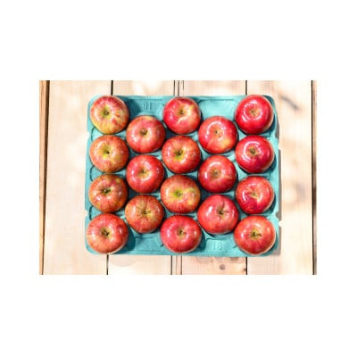 【青森市産】糖度12.5度以上保証!サンつがる贈答用約5kgりんご ※離島・沖縄は配送不可【配送不可地域：離島・沖縄県】