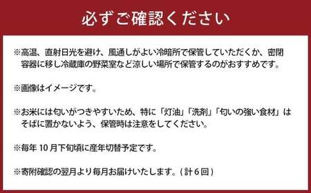 【定期便6回】くまさんの輝き 5kg×1袋 米 お米 コメ 精米 白米 ご飯 ごはん 5kg 熊本県 湯前町 定期便