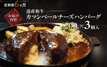 【6ヶ月定期便】道産和牛カマンベールチーズハンバーグ（200g）3個入り MROA175
