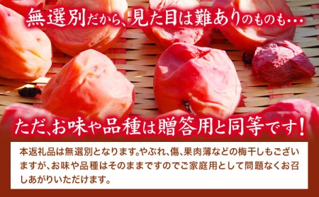 紀州南高梅 はちみつうす塩味完熟梅干し 無選別 1kg