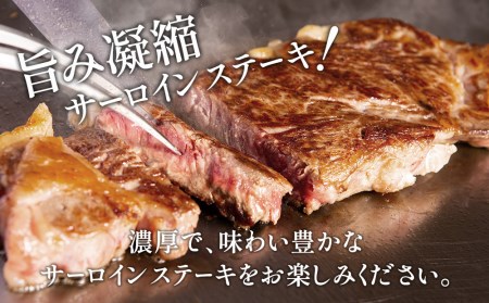 おおいた和牛 サーロインステーキ 約180g×2枚(合計360g) 和牛 豊後牛 国産牛 赤身肉 焼き肉 焼肉 ステーキ肉 大分県産 九州産 津久見市 国産【tsu002307】