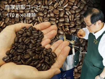 【挽き方：中細挽き】お家でカフェ♪アメリカンスペシャリティ認定豆170ｇ×3袋
