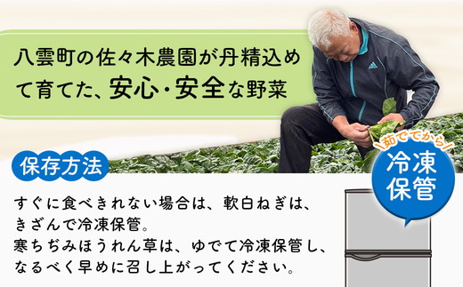 八雲産軟白ねぎ1kg+寒ちぢみほうれん草800gセット ｜ 野菜 ネギ ホウレン草 やさい ホウレンソウ 葉物野菜 北海道 八雲町 ※沖縄・離島（一部除く）への配送不可