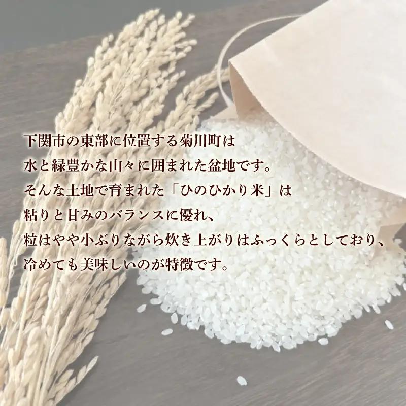 【定期便 6ヶ月】令和7年産 米 ひのひかり 5kg 下関 山口 LO001-B