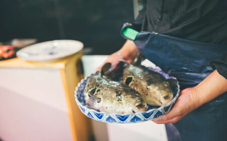 とらふぐ アラとヒレ 3匹分 フグフグフグ