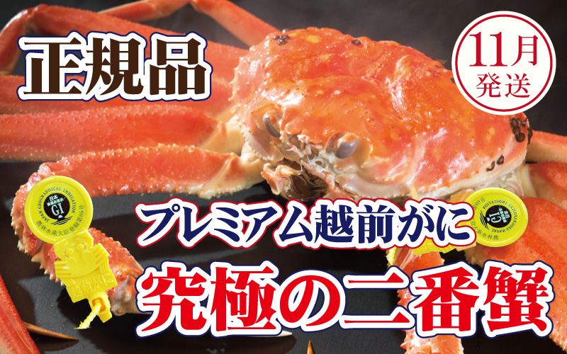 
            越前がに × 1杯（二番蟹）桐箱入り！究極のプレミアム越前がに【雄 ズワイガニ かに カニ 蟹 姿 生 ボイル 冷蔵 福井県】【11月発送分】希望日指定可 備考欄に希望日をご記入ください [e37-x009_11]
          