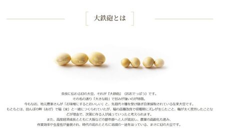 大鉄砲豆乳 石鹸　100g 豆腐屋が作る石鹸　せっけん