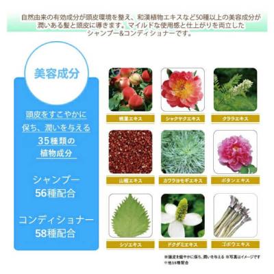 ふるさと納税 糸島市 【全12回定期便】[薬用]利尻頭皮シャンプー+コンディショナー[医薬部外品]2本[AZA105] |  | 02