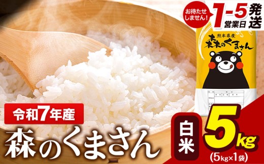 令和7年産 森のくまさん 5kg × 1袋  白米 熊本県産 単一原料米 森くま《1-5日以内に出荷予定(土日祝除く)》 送料無料