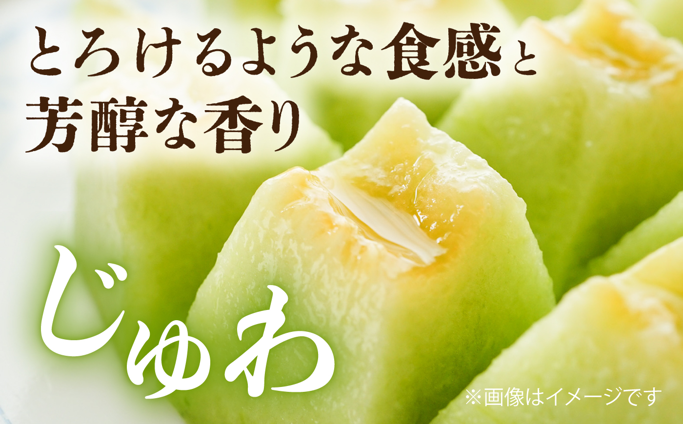 肥後グリーンメロン2玉 / メロン フルーツ 果物 ジューシー 旬 熊本県 菊陽町【古閑農園】 [BHDJ002]