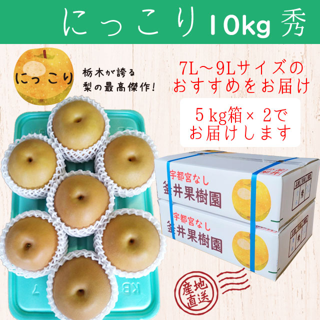 にっこり 10kg 12～16玉 ｜ 栃木県産 宇都宮市 梨 なし にっこり フルーツ 果物 ※離島への配送不可 ※2025年10月上旬頃より順次発送予定