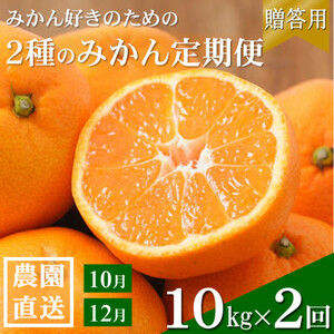 【発送月固定定期便】みかん好きに食べてほしい　2種のみかん定期便　各10kg【贈答用・秀品】全2回【4054114】