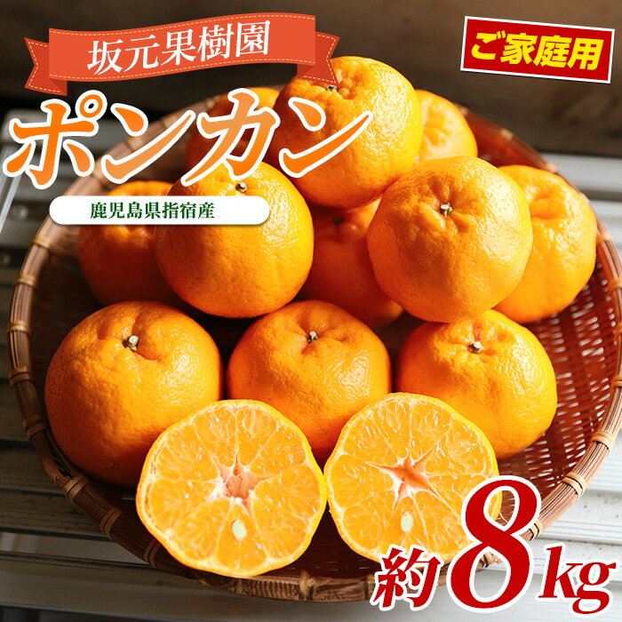 【ふるさと納税】＜2026年1月上旬以降順次発送＞訳あり！みかん農家 坂元さんちのポンカンご家庭用 (約8kg) 鹿児島 ポンカン ぽんかん 果物 くだもの フルーツ 柑橘 訳あり いぶすき 常温 常温保存【坂元果樹園】